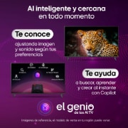 LG QNED evo AI QNED85 Mini LED with AI Picture Pro and Dynamic Tone Mapping Pro shows an underwater scene of a sea turtle swimming above coral and fish, as AI recognizes and upscales each frame to 4K resolution.